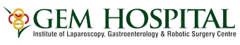 GEM Logo